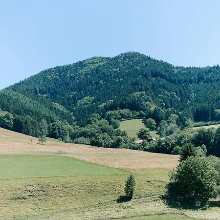Moderne 3 Zi-fewo 