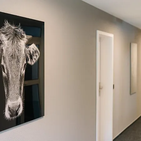 Appartement Moderne 3 Zi-fewo 